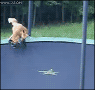 Ketut trampoliinilla