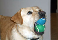 i has two balls in my mouth..