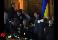 kansanedustajat tappelee ukrainassa