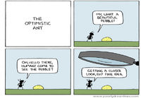 The Optimistic Ant