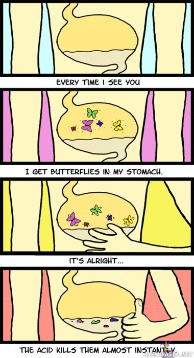Perhosia masussa