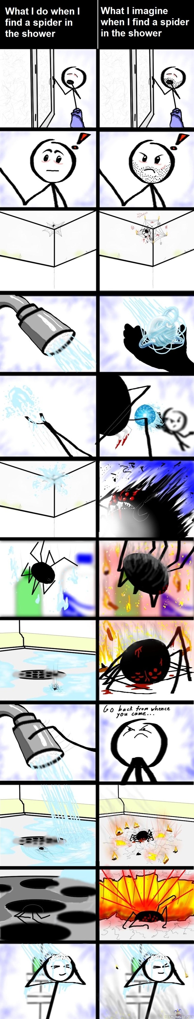Hämähäkki suihkussa - Mitä tapahtuu / mitä kuvittelee tapahtuvan