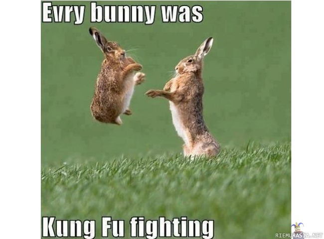 Every bunny was kung fu fighting