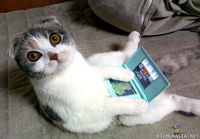 i has DS!