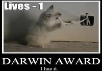 Darwin award