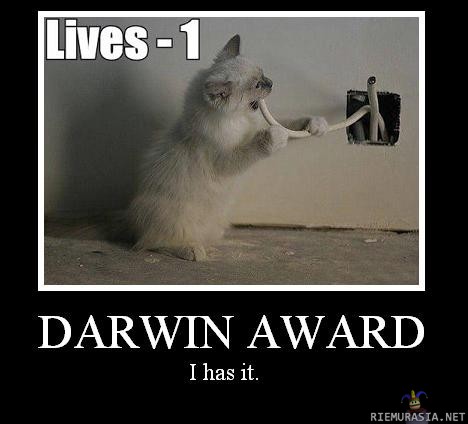 Darwin award - onneks on viel 8 elämää jälellä..