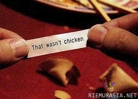Kiinalaista ruokaa - &#039;&#039;That wasn&#039;t chicken&#039;&#039;