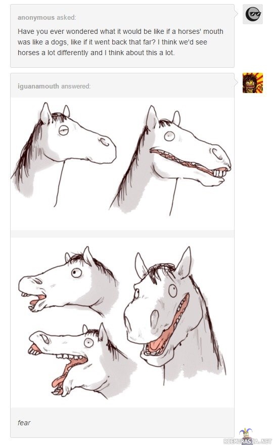 Hevosen naama