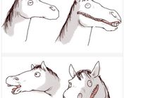 Hevosen naama