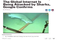 Internet haiden hyökkäyksen kohteena