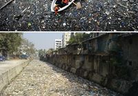 Our plastic world