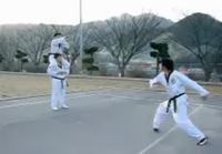Taekwondo 540 Tornado Kick