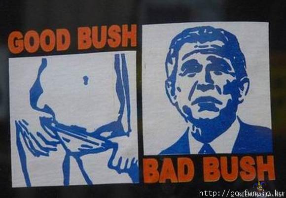 Good&Bad Bush - Kirjaimellisesti..