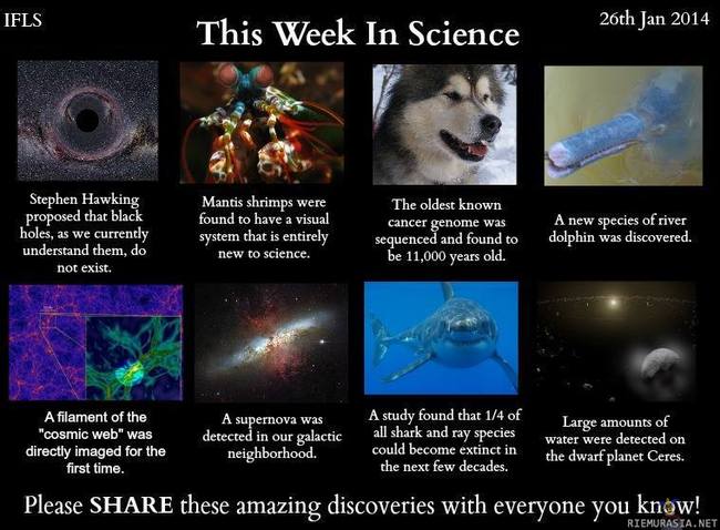 Viikon tiedejutut - I Love Science

Black holes: http://bit.ly/M1dPva
Mantis shrimps: http://bit.ly/1n2GT3N
Cancer genome: http://bit.ly/1ggGtGv
Dolphin: http://bit.ly/1e7ZB6l
Cosmic web: http://bit.ly/M1eeh9
Supernova: http://bit.ly/M1e610
Shark extinction: http://bit.ly/1cj0TLp
Ceres: http://bit.ly/1fghjF4