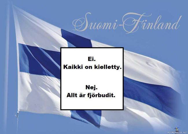 Maamme - Suomi ja sen säälittävä, alentava nykytila