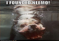 i founded neemo!
