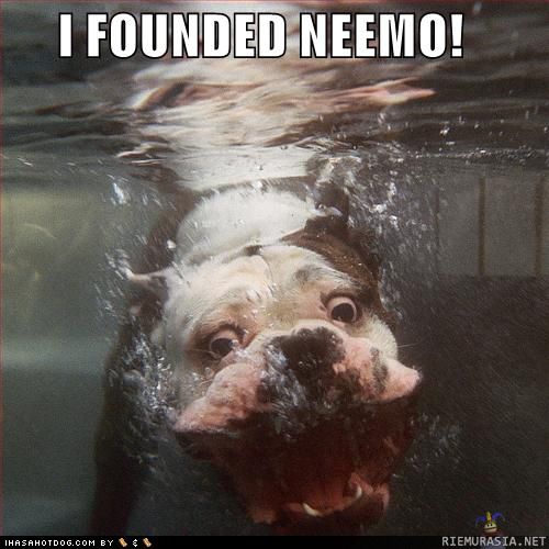 i founded neemo!