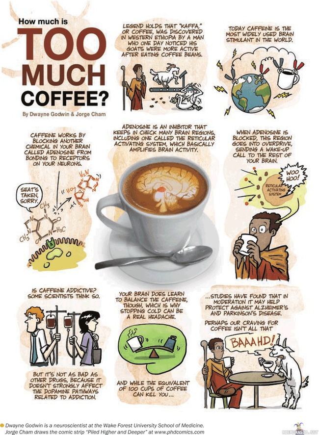 How much is too much coffee? - Kahvin erittäin lyhyt historia ja vaikutukset aivoihin.