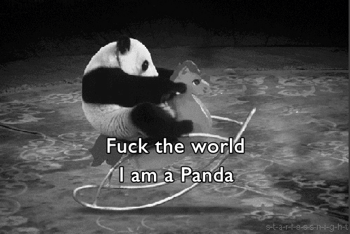 Pandaa ei kiinnosta - Koska panda on pande ja ei kiinnnosta