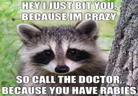 Have a Rabies