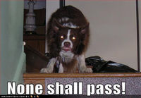 U shall not pass!