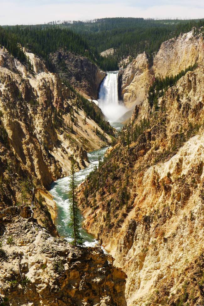 Yellowstonen kansallispuisto - Miettikää venyttelyä munasillaan tuolla kallionpäällä