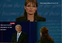 Palin gets owned