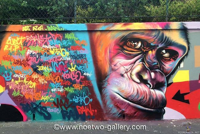 Gorilla Graffiti - Taiteilija:NOE TWO