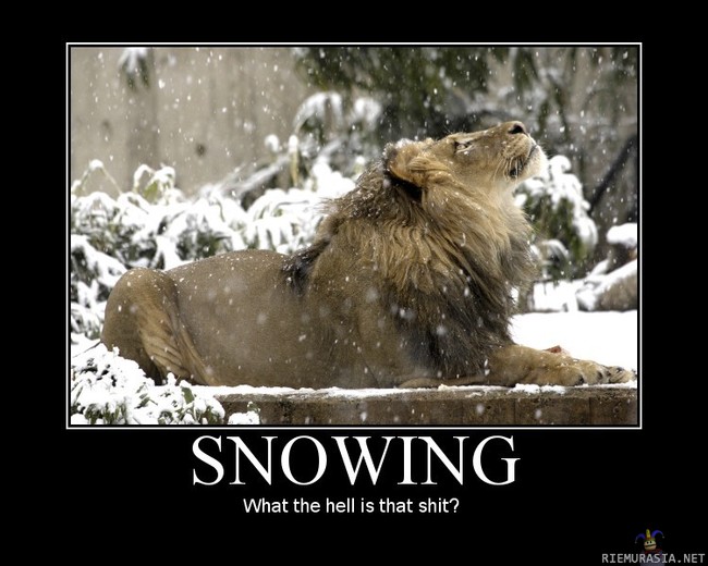 Lunta tulvillaan... - Savannitkin on...