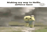 Nellis airforce base