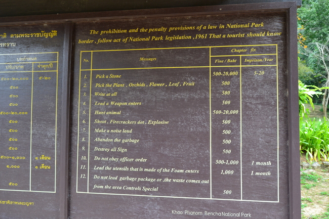 Lakeja thaimaalaisessa kansallispuistossa - Kiven poimimisesta 5-20 vuotta vankeutta? En kehdannu kokeilla.. :D