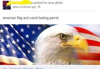 american patriotism in a nutshell