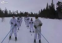 Norjalaiset hiihtojoukot