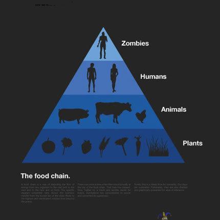 Food Pyramid - ravintoketju