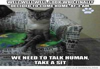 Kisse haluaa keskustella kotiintuloajoista