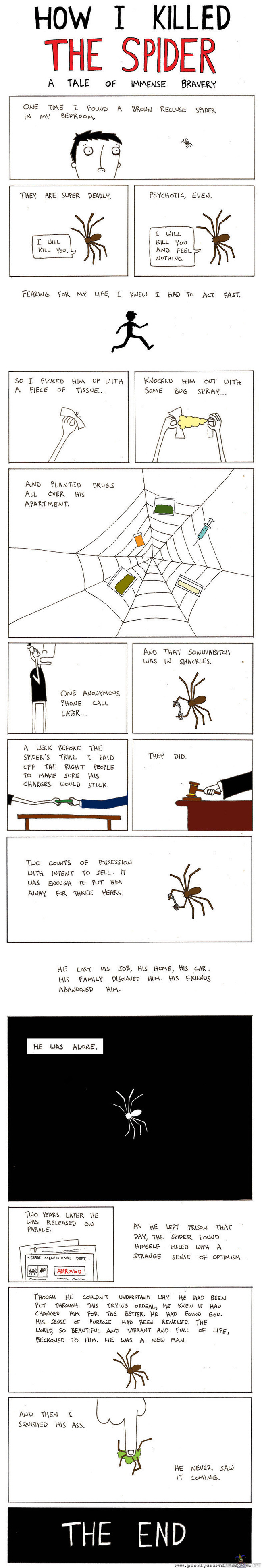 How i killed the spider