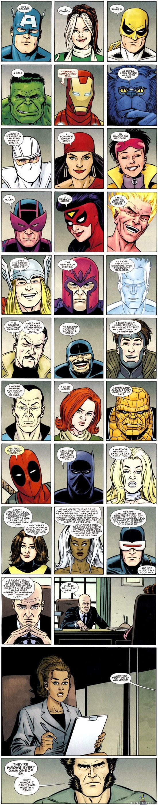 Sankarit kuvailevat toveriaan - Marvel sankarit kuvailevat tunnettua hahmoa