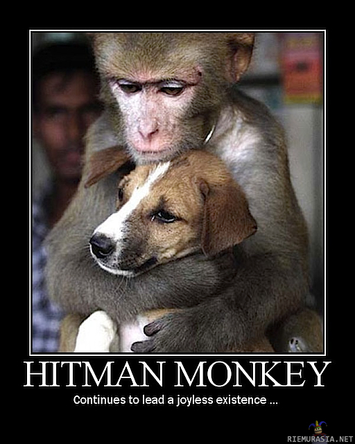 Hitman Monkey - Tarina jatkuu
