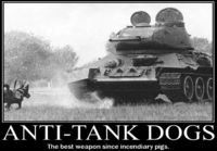 Anti-Tank Dogs