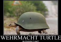 Wehrmacht Turtle