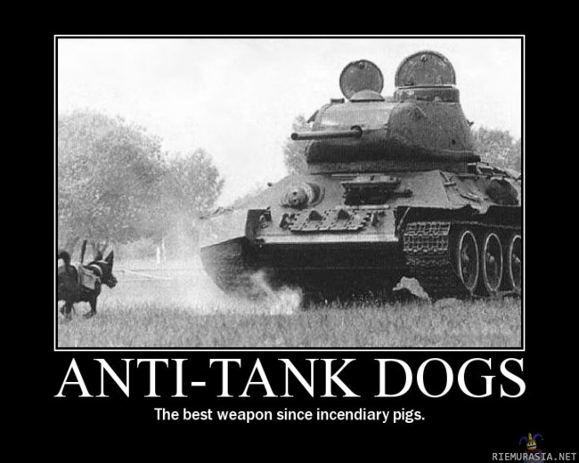 Anti-Tank Dogs - Mäyräkoiran väärinkäyttöä.