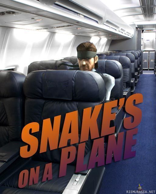 Snake - Snake&#039;s on a plane.