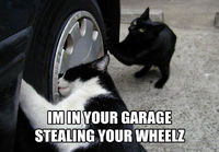 I\'m in your garage.