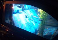 Autosta akvaario