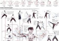 Little Dragon - Bruce Lee infographic