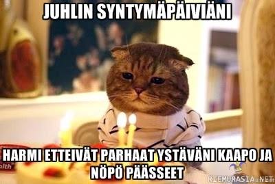 Kissan syntymäpäivät - Kissa juhlii syntymäpäiviään.