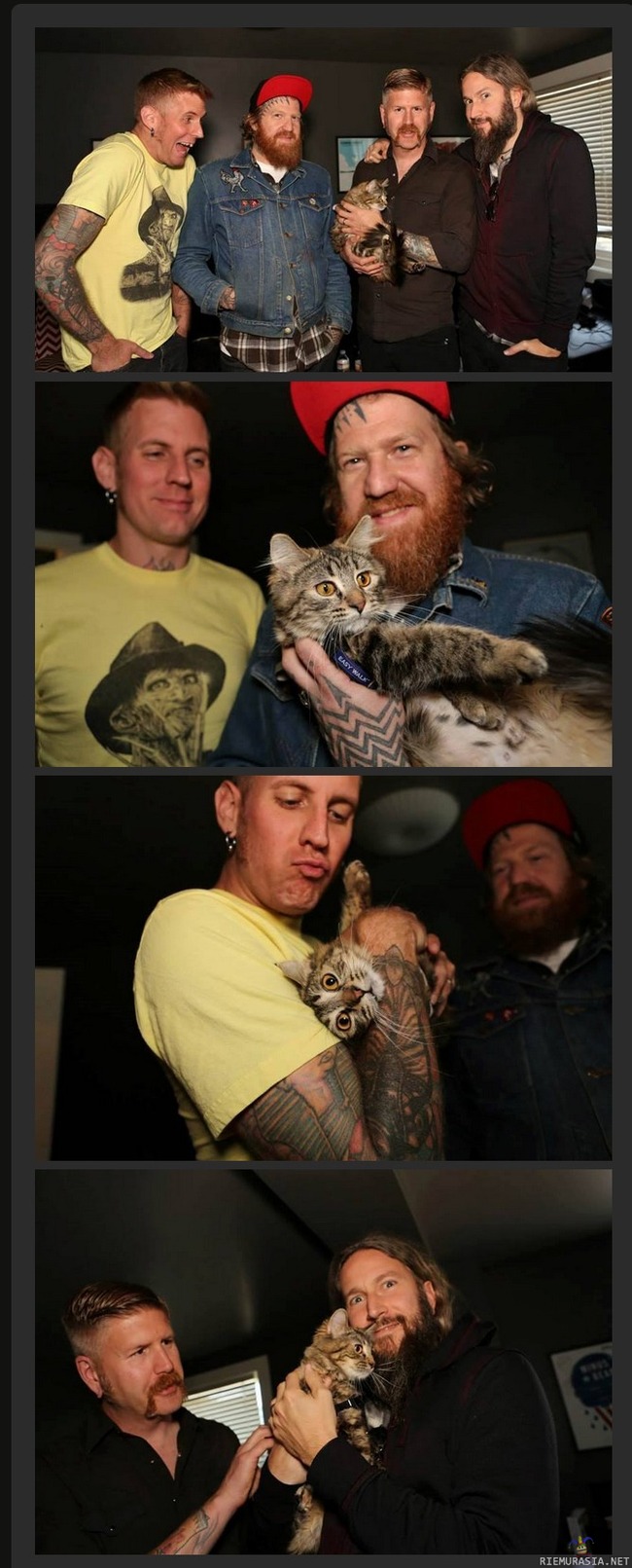 &#039;Mastodon&#039; pelastaa kissan eläintarhasta - Progemetalliyhtye Mastodon pelastaa kissan Motley Zoo -eläintarhasta.