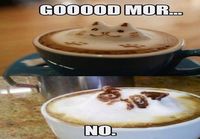 Grumpy Coffee