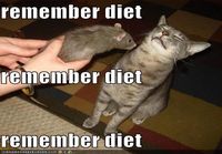 Remember diet