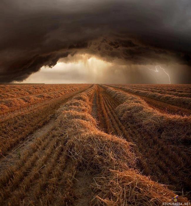 Myrskyinen kesä Kansasissa - Menisin, istuisin, joisin ja ihmettelisin tätä helvetin hienoa maisemaa.